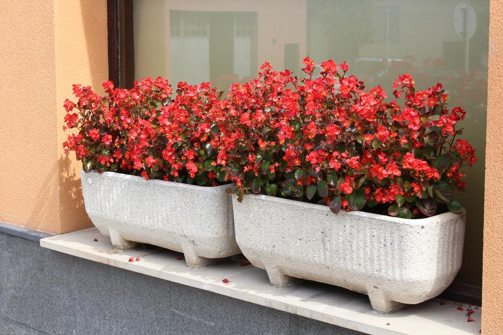 Hostal Montserrat Tona Εξωτερικό φωτογραφία